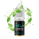 Menthol Flavour Concentrate by FlavorVerse - 10ml & 50ml