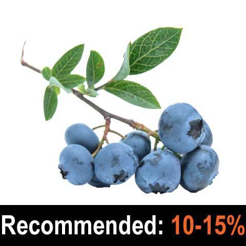 Flavour Concentrates - Blueberry (wild) - The Flavor Apprentice